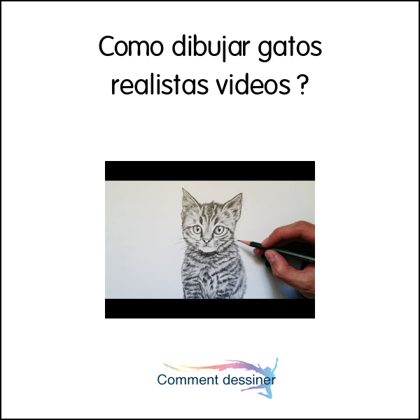 Como dibujar gatos realistas videos